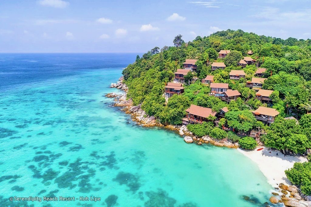 Serendipity Lipe