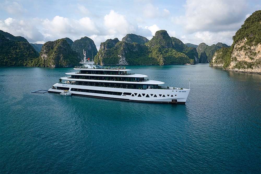 Elite of the Seas