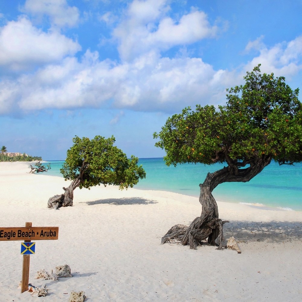 Aruba