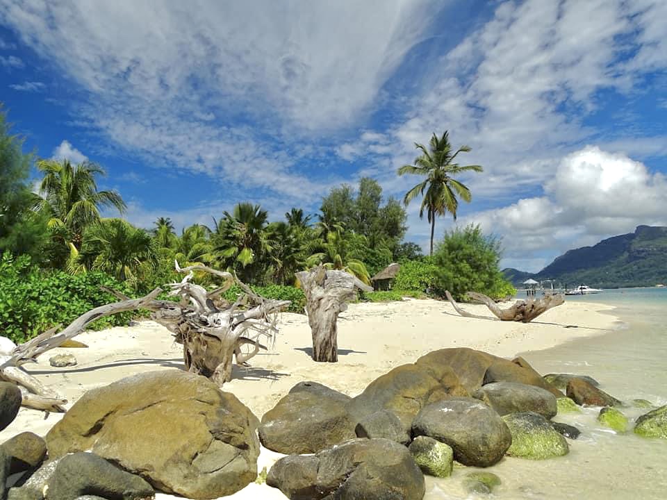 Cerf Island