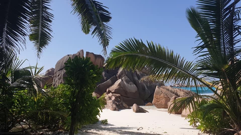Anse Caïman auf La Digue