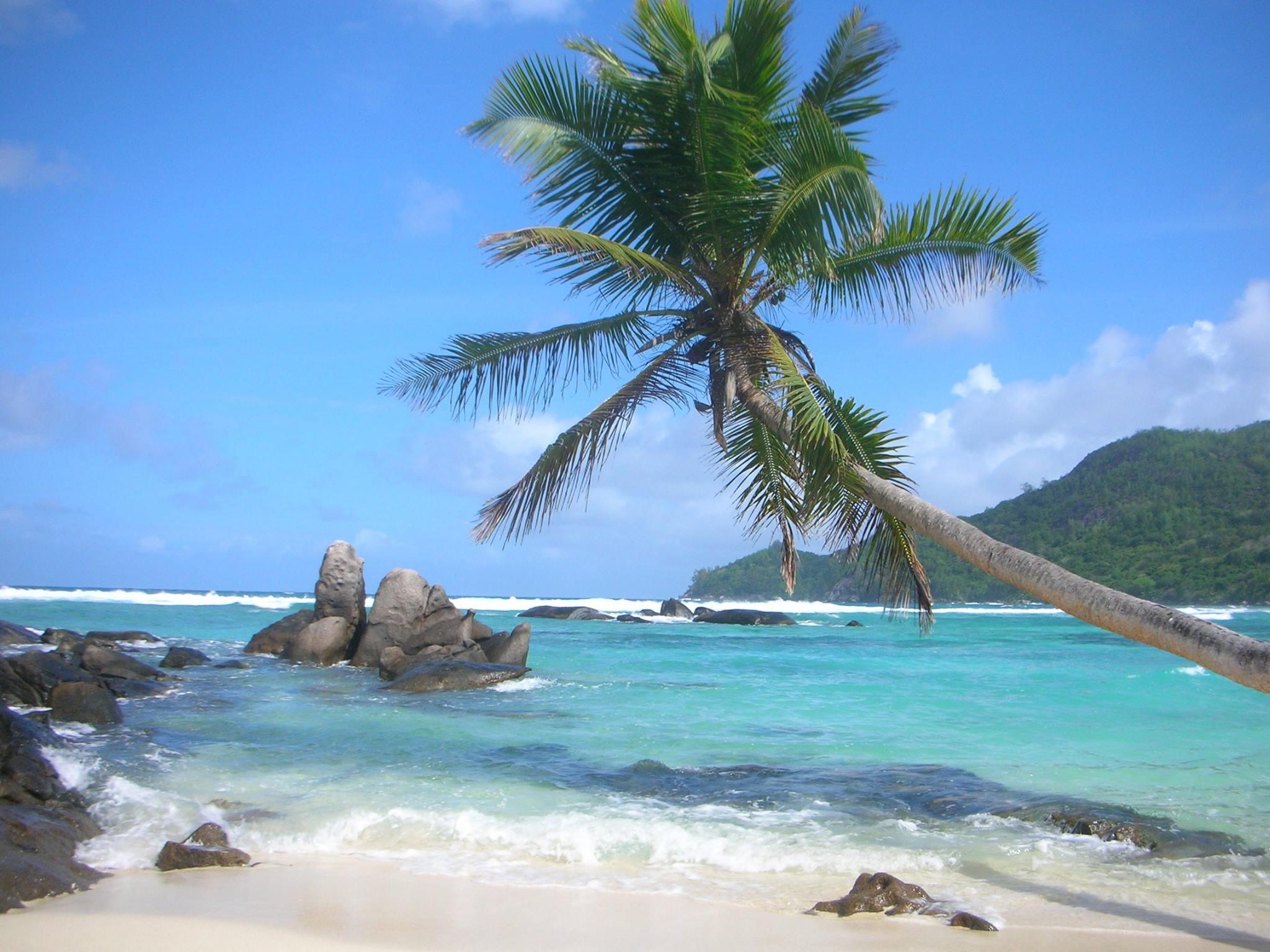 Anse Forbans auf Mahé
