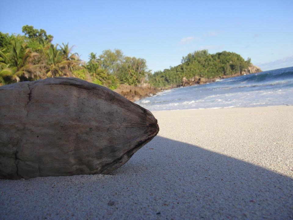 Anse d'Est auf North Island