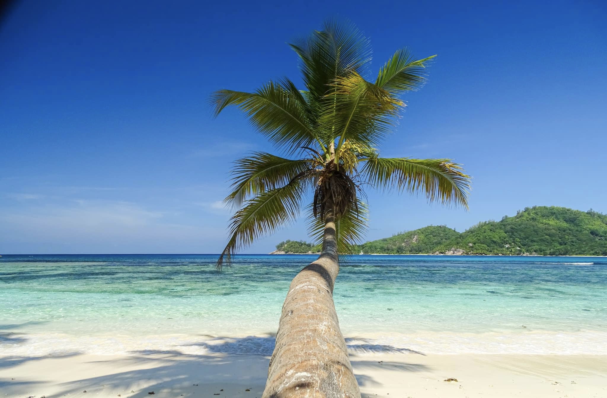 Anse Volbert auf Praslin